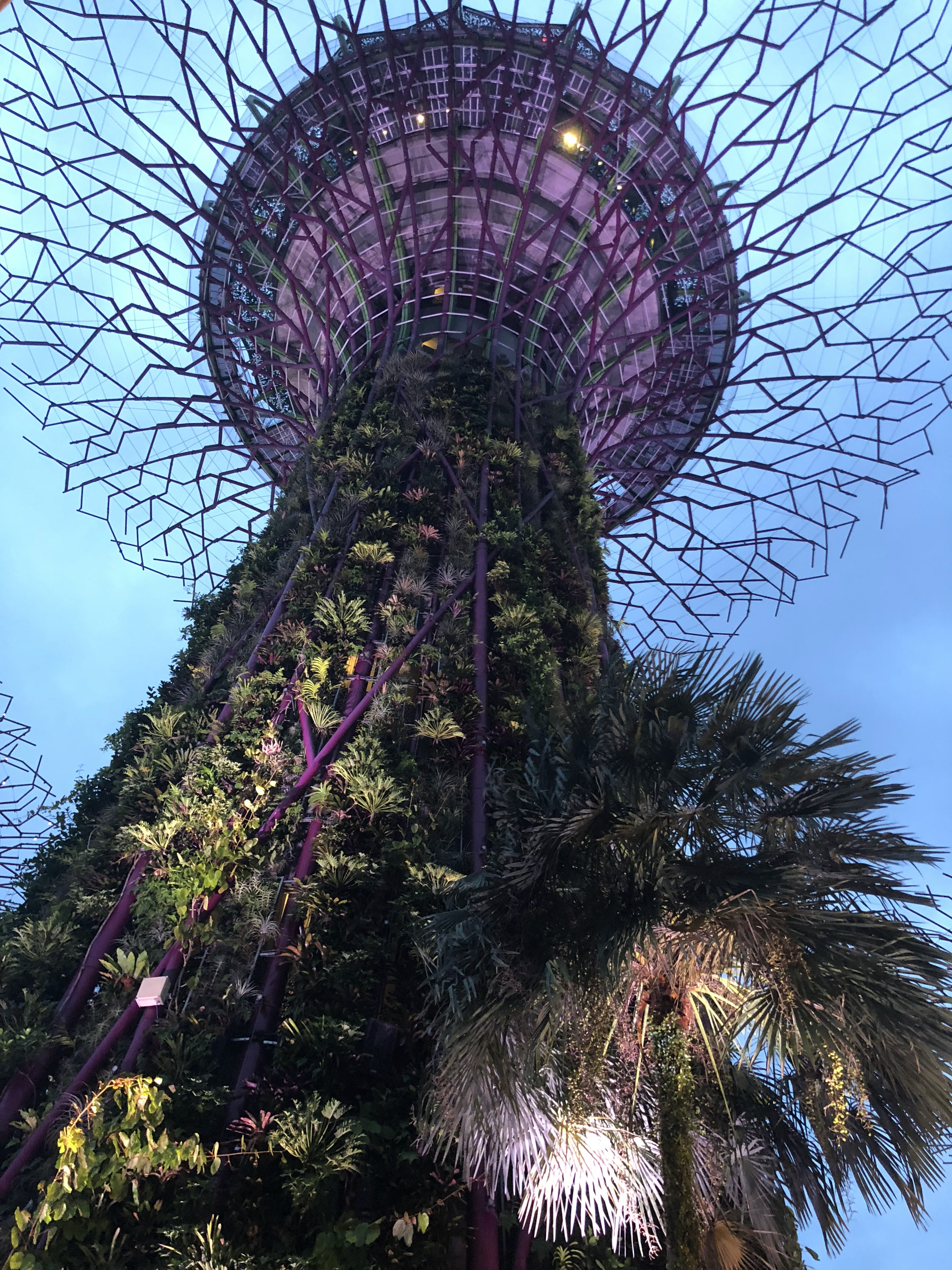 Singapore Travel Guide: The City That Redefines Clean, Green & Modern